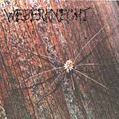 When Death And Grind Unite